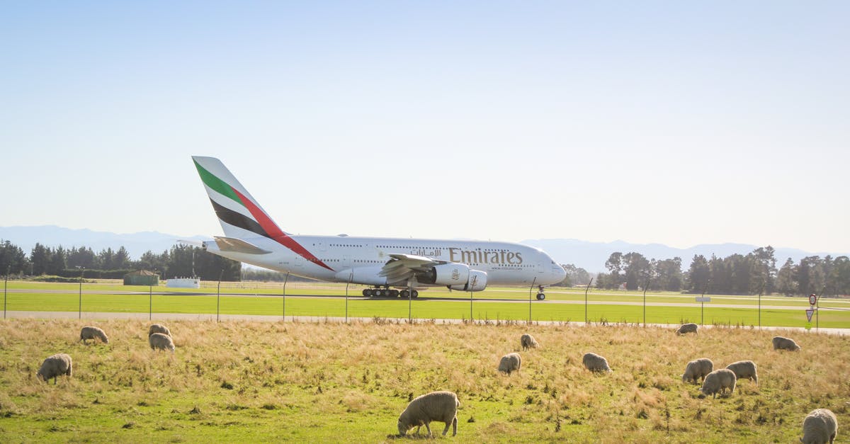 Minimum age requirements for car rentals at Chania Airport