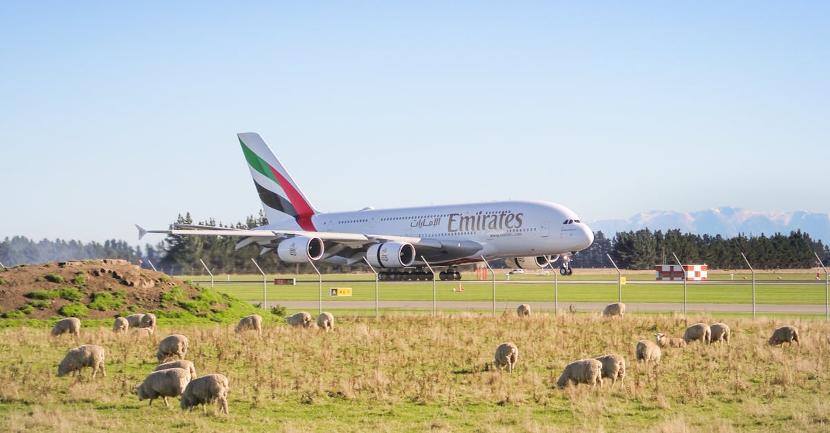 What identification is needed for young renters in Chania